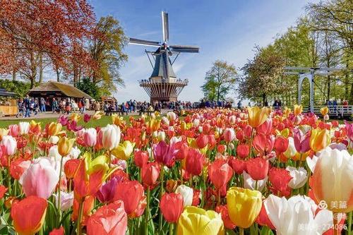 海堤,风车,郁金香之国荷兰 写美篇众所周知 荷兰是世界上最开放的国家