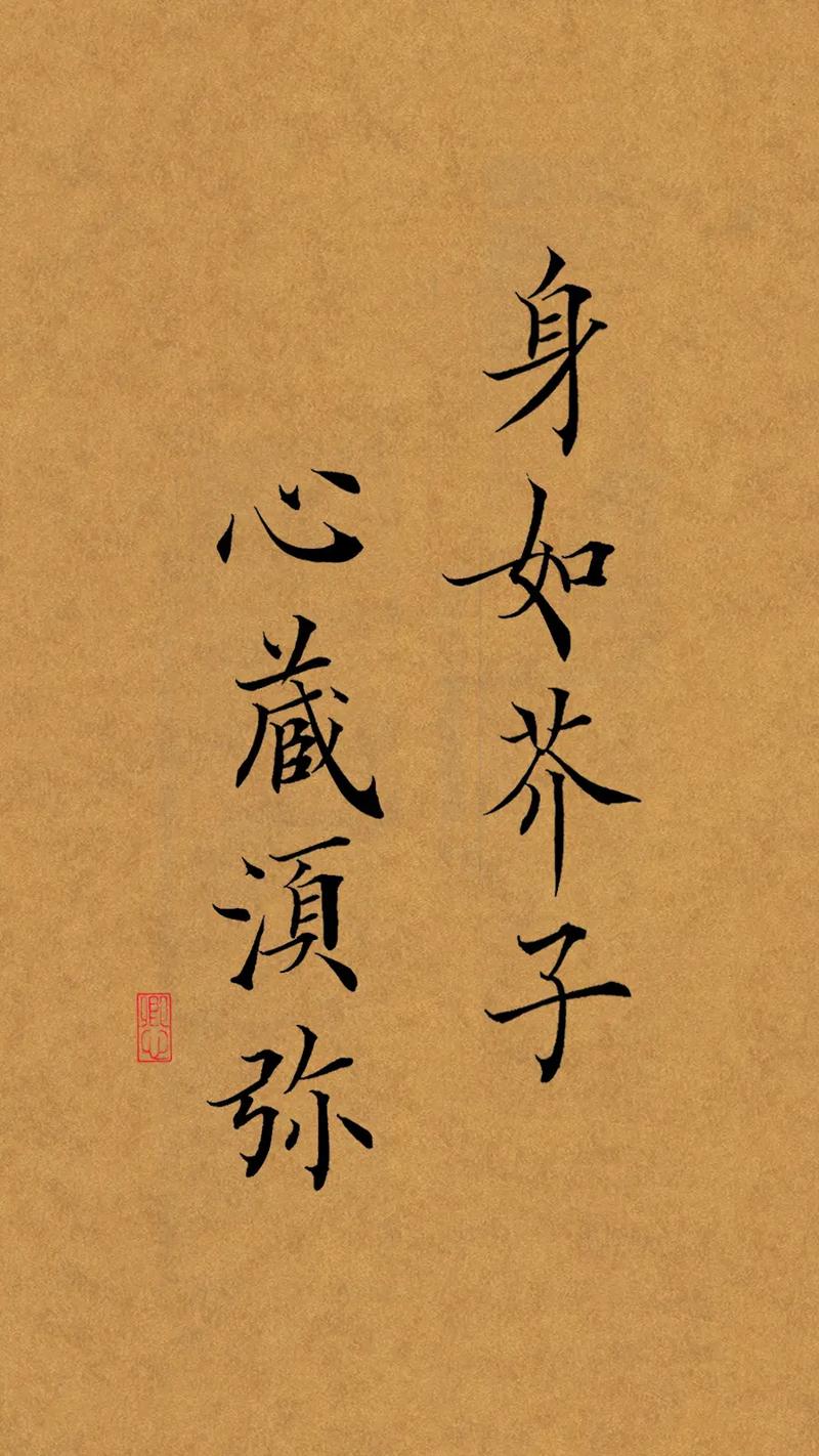 身如芥子,心藏须弥 #书法 #传统文化 #手写 - 抖音