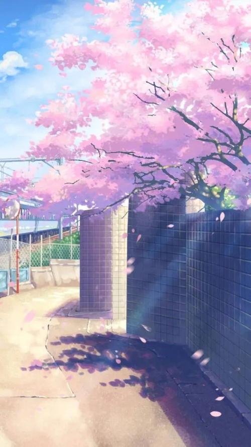 动画里的樱花场景▼鸟居门▼akine coco分享的一系列樱花,夕阳天际