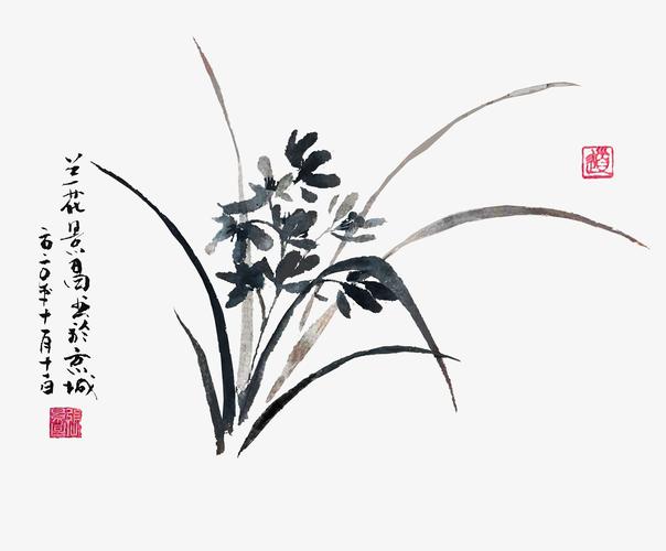 张景昌的中国画兰花