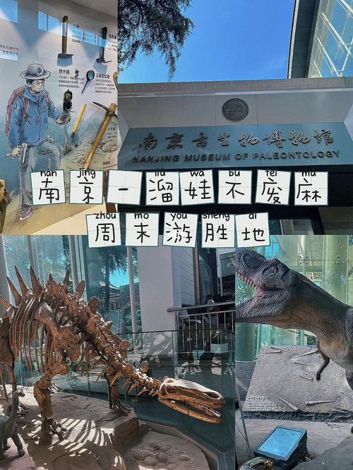 躲避高温溜娃必去南京古生物博物馆