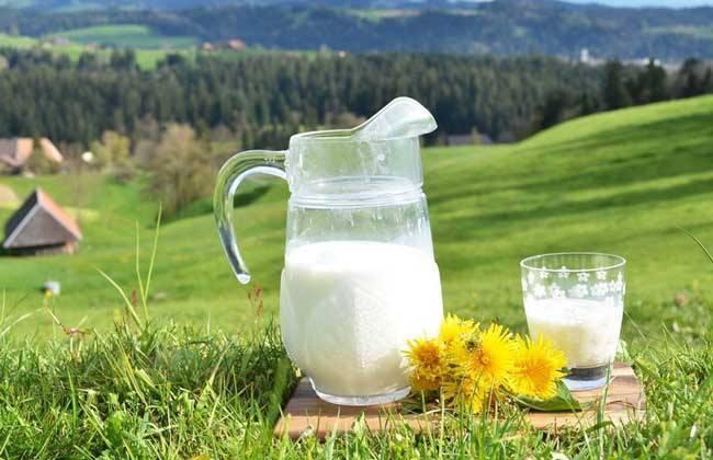 牛奶的功效与作用牛奶对人体的好处盘点