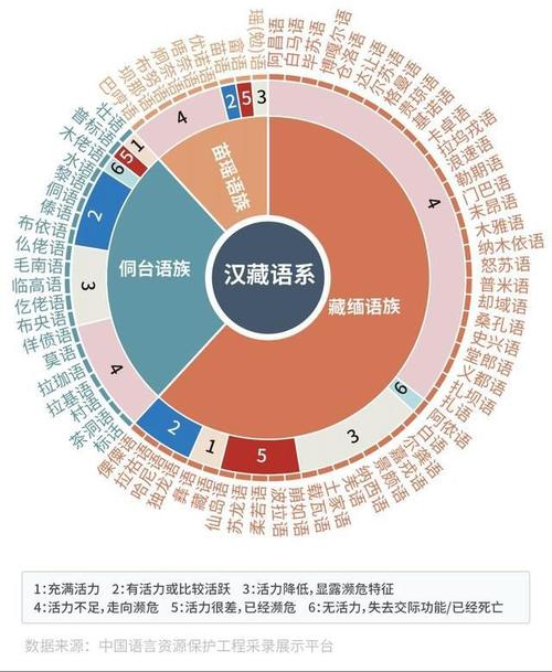 光中国方言就有1079种读音,但更多的正在消失|普通话|粤语|民族|少数