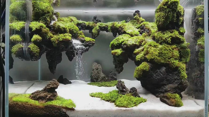 草缸造景瀑布水景欣赏火山石moss的完美组合