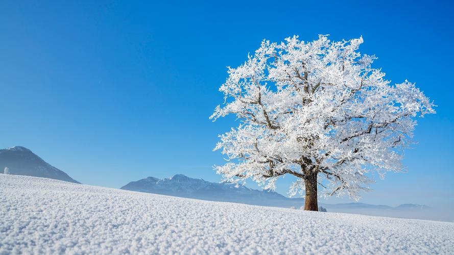 唯美冬季雪景高清桌面壁纸