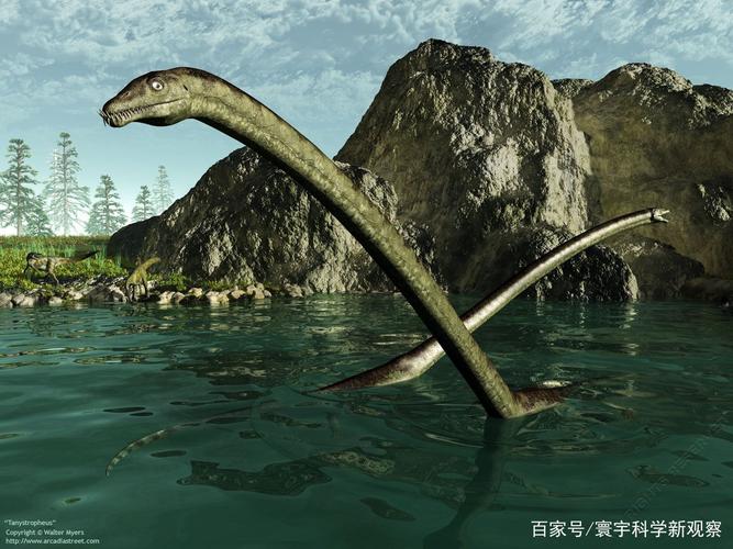 长颈龙的脖子为何这么长科学家有助于它们像鳄鱼一样伏击猎物