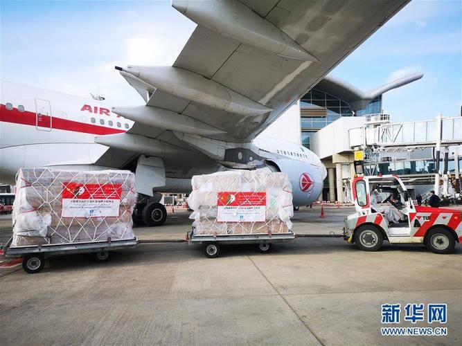 中国捐赠防疫物资抵达阿尔及利亚