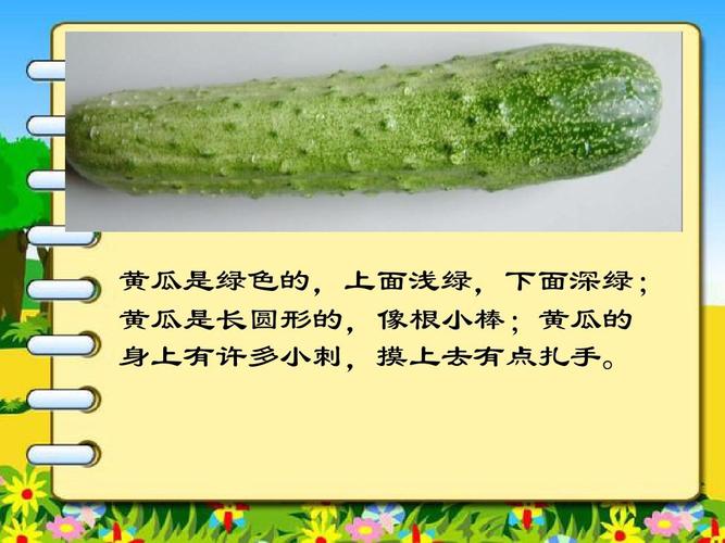 黄瓜是绿色的,上面浅绿,下面深绿; 黄瓜是长圆形的,像根小棒;黄瓜的