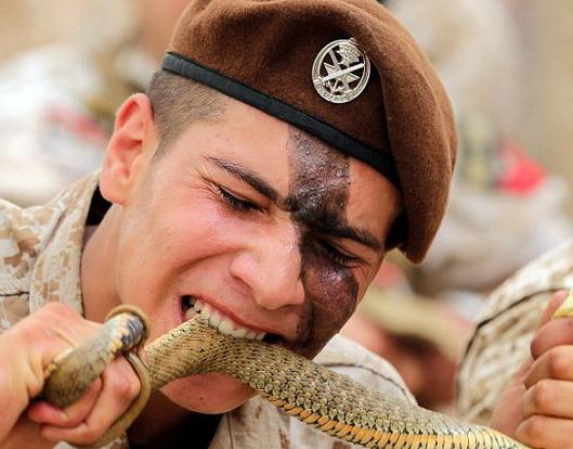 黎巴嫩突击队士兵秀惊人绝技生吃活蛇高清组图