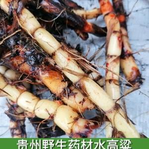 贵州野生药材水高粱500g山野高粱山稗子土稗子红果莎旱稗山小米