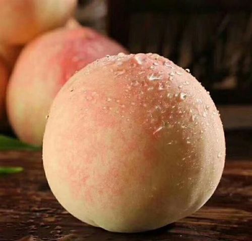 正宗宁波奉化水蜜桃自家产5两以上现货装12个装水蜜桃甜桃子