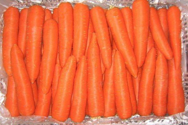 胡萝卜一天吃一根行吗怎么挑选优质的胡萝卜