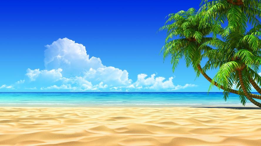 云,沙,棕榈树,海滩,天空,风景壁纸