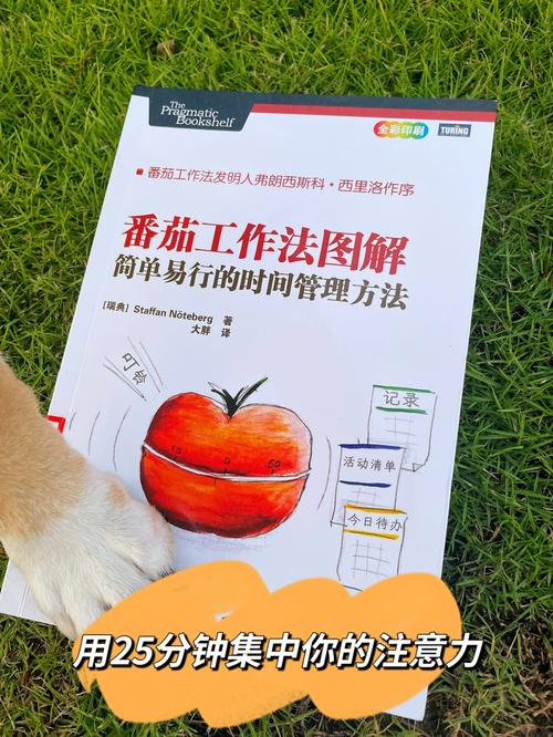staffan番茄工作法详解助于高效工作