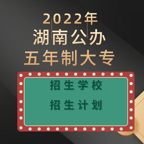 2022年湖南五年制大专招生学校招生计划