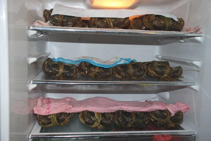 保存方法一:用冰箱保存螃蟹.