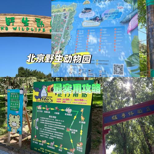 北京大兴野生动物园超实用游玩攻略