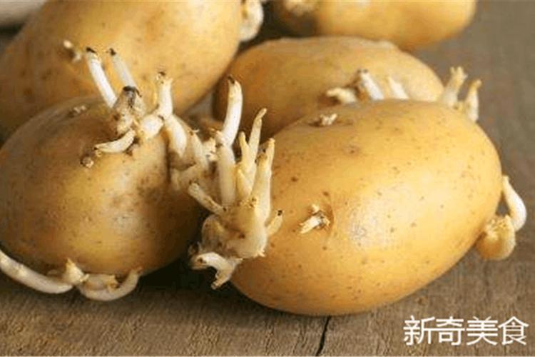 土豆发芽千万别食用,小心毒素入体,后果不堪设想