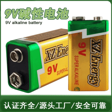 9v碱性电池9伏方形干电池话筒万用表报警器电池英文出口6lr61电池