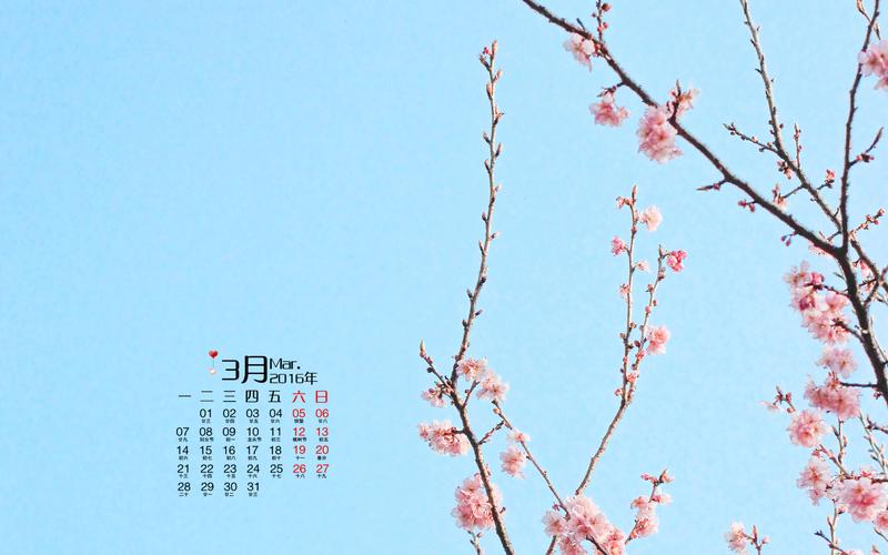 首页 桌面壁纸 日历壁纸 2016年3月日历小清新花开日系摄影图片电脑1