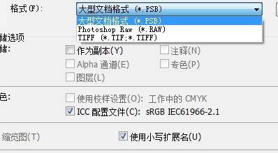 photoshop5里用了裁剪工具后无法保存为正常图片格式怎么办?