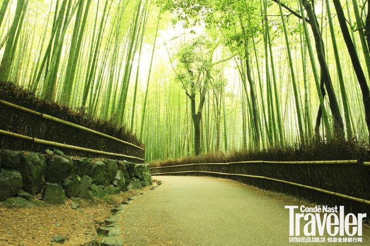 日本佐加野竹林位于东京郊区的岚山自八世纪起就一直是深受游客欢迎的