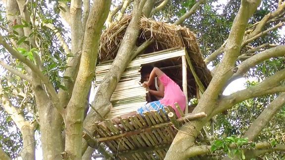 柬埔寨年轻人太牛徒手在树上盖个树屋这野外生存能力无解