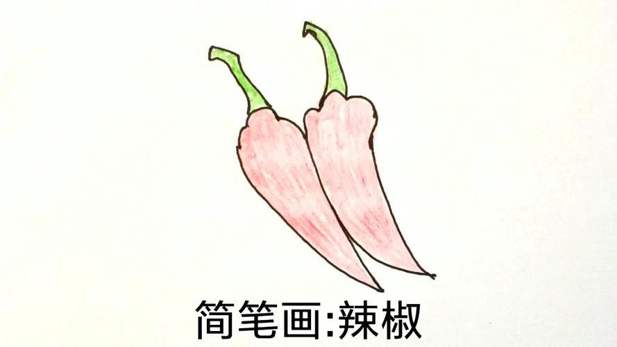 茄子与辣椒简笔画集