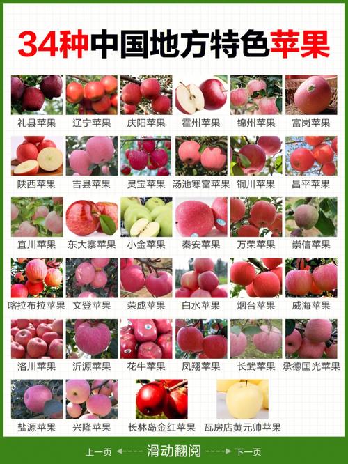 中国苹果34种地方特色苹果你吃过几种