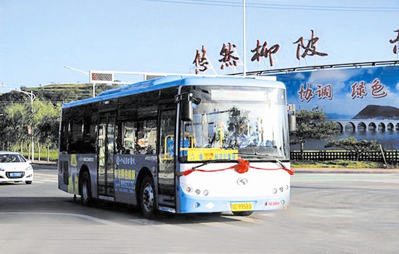 7月10日,十堰城区及周边近千名游客乘坐103路公交车前往柳陂湖百亩