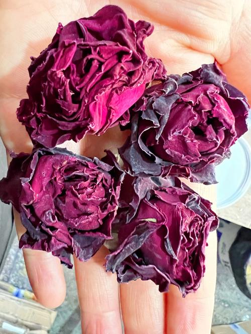 云南大理的墨红玫瑰花可以让你变美的花茶