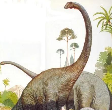 动物世界:身体极长的食草性恐龙——梁龙