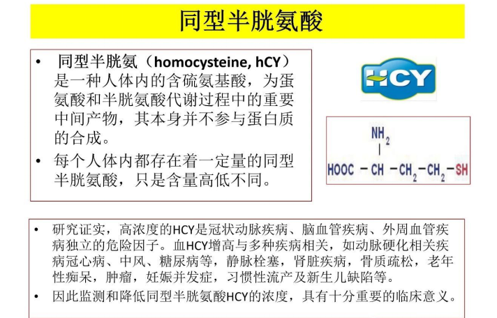 hcy同型半胱氨酸高有什么症状