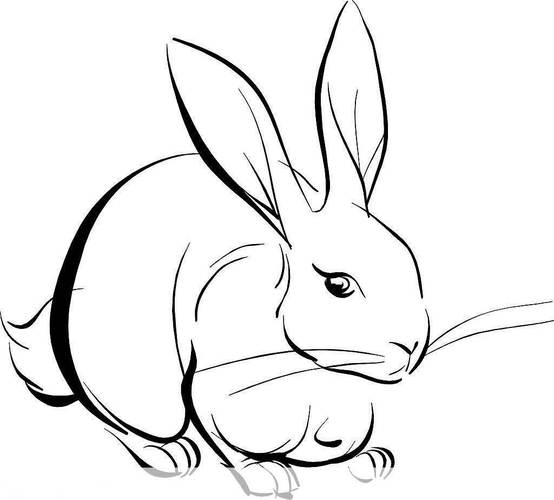 兔子画简笔画 画兔子的简笔画
