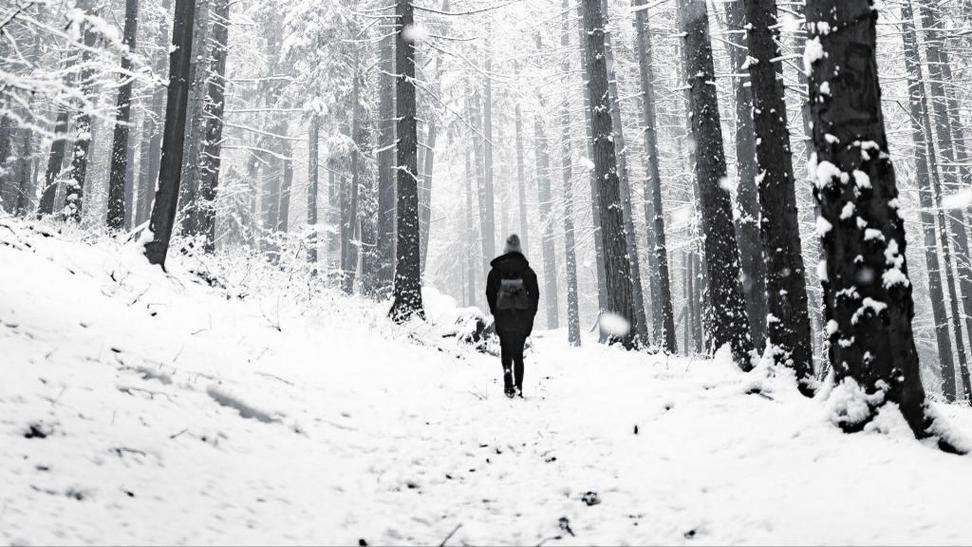 雪中孤独的人背影 - tt98图片网