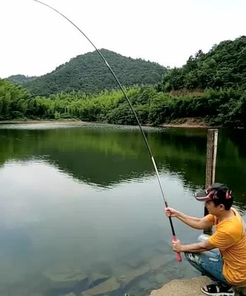 钓鱼集锦:钓鱼人在野外垂钓,上鱼的时候最令人刺激了