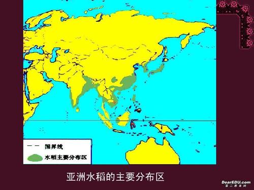 亚洲水稻的主要分布区