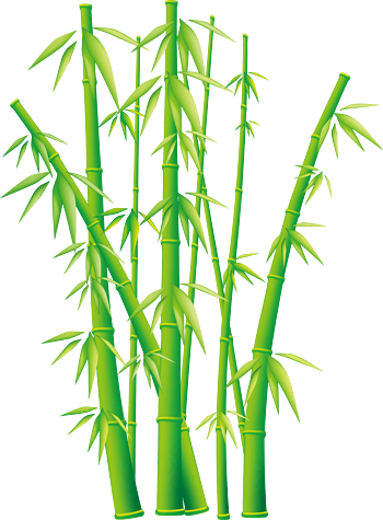 栩栩如生的竹子绿色素材图片