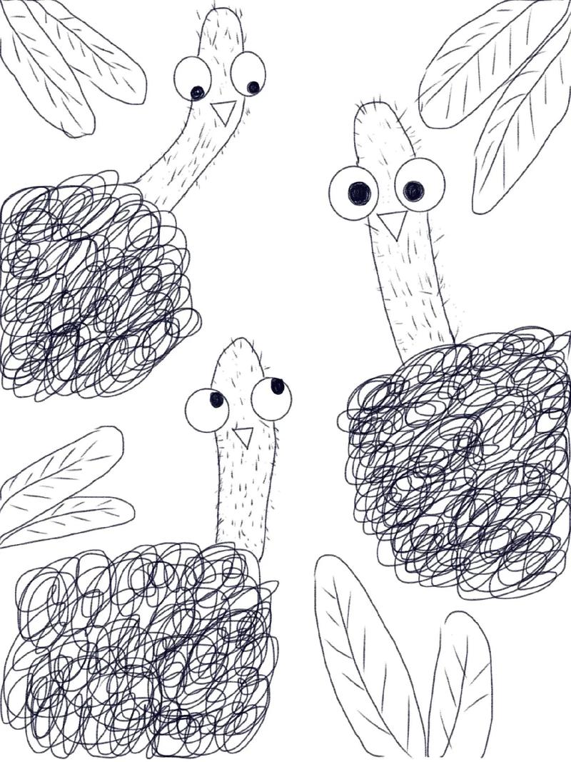 儿童简笔画《鸵鸟》一起来来画几只简单可爱的鸵鸟吧!#简笔画  - 抖音