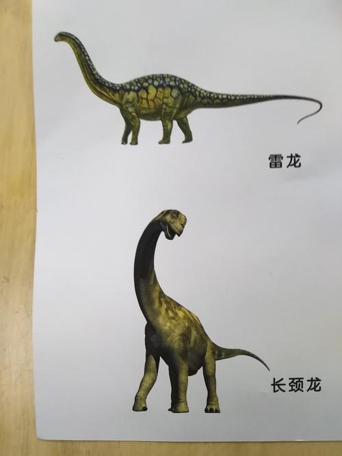 我们的实验开始前,先看图片来了解这些恐龙的名称和特征