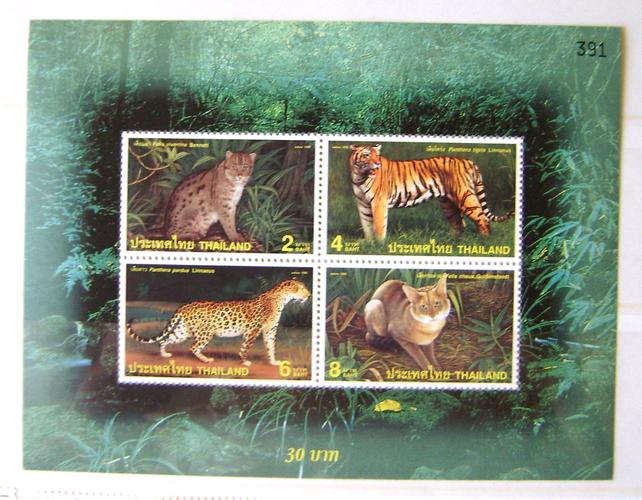 泰国1998年猫科动物老虎豹子(大图展示)
