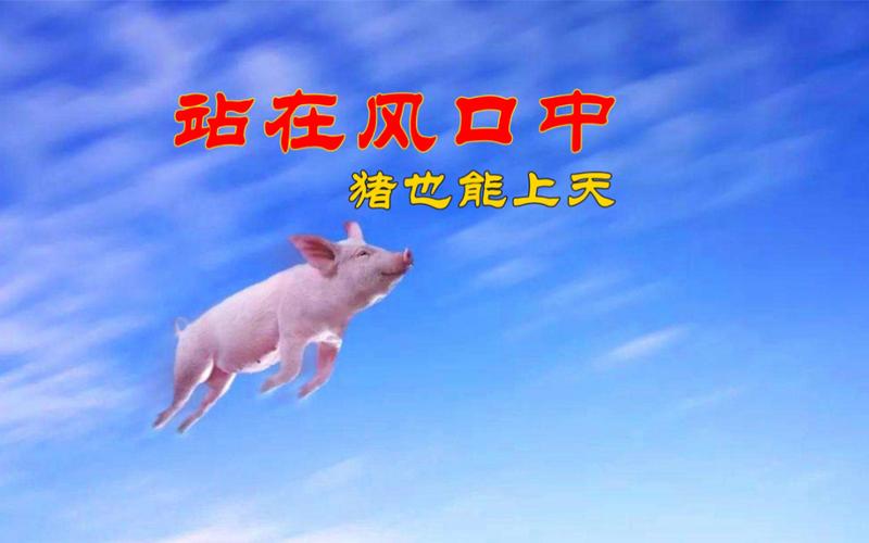 站在风口上,猪也能飞上天,要懂得规则, 跟着大势走,心才不会累!