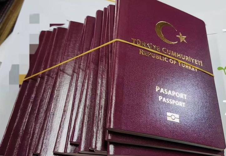 如何用土耳其护照敲开英国,美国移民大门?_签证