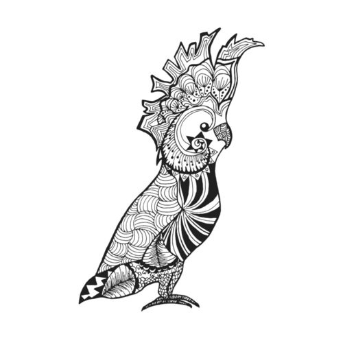 鹦鹉动物黑白线稿纹身图案印花矢量