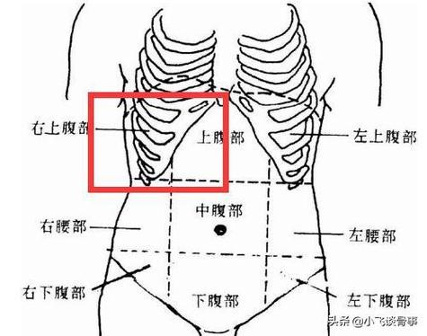 左腹部靠近肚脐处经常痛是什么原因