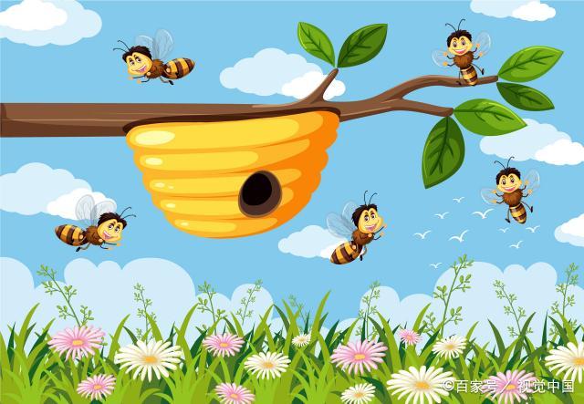 八只蜜蜂围成一个圈