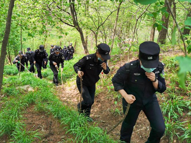 守护山林的黑猫警长走近青岛森林警察青岛警察故事⑨