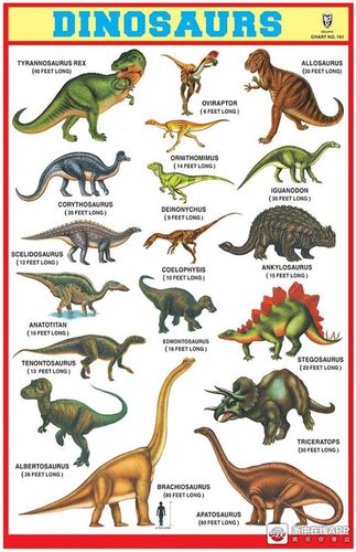 今天要跟大家分享的是关于各类恐龙名字的英文表达和各种恐龙知识