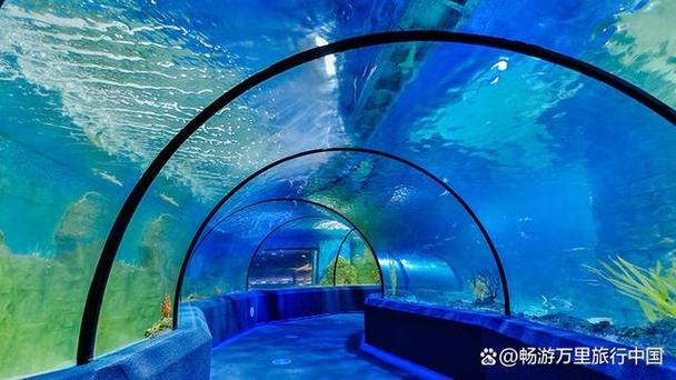 狮子城海洋世界是位于惠州市惠城区的一家海洋主题公园,拥有丰富多彩