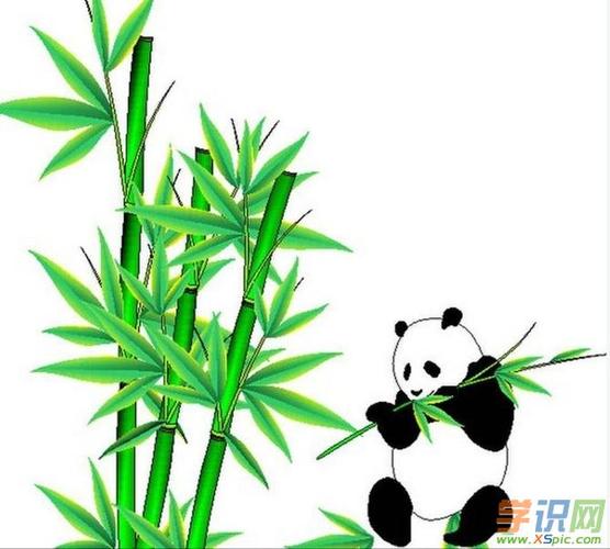 竹子熊猫手绘图片